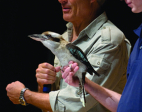 Animal expert shares wild life