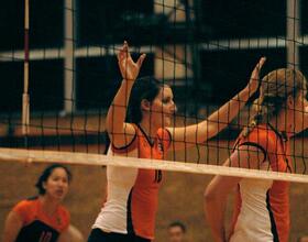 VB : Little becomes reliable veteran for Orange with increased playing time 