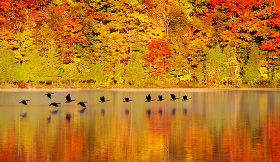 Baltimore Woods Nature Center opens virtual exhibit &#8216;Autumn: A Visual Feast of Images&#8217;