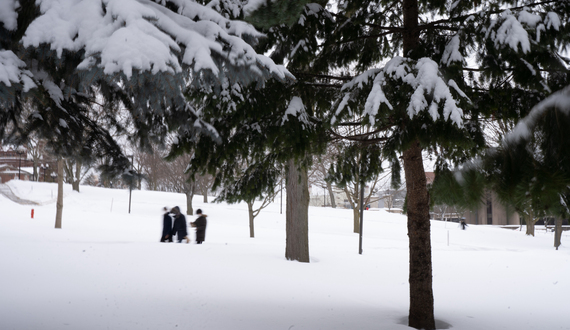 Video: Here&#8217;s what Syracuse students think of SU&#8217;s wellness days