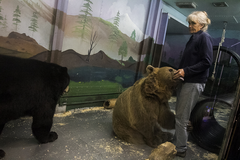 Couple raises bears like children