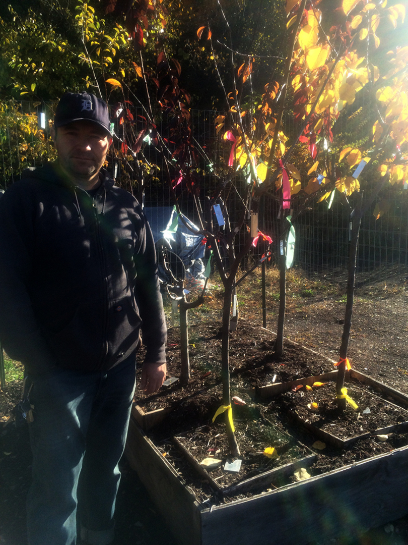 Sam Van Aken talks making tree with 40 fruits, writing book about grafting trees