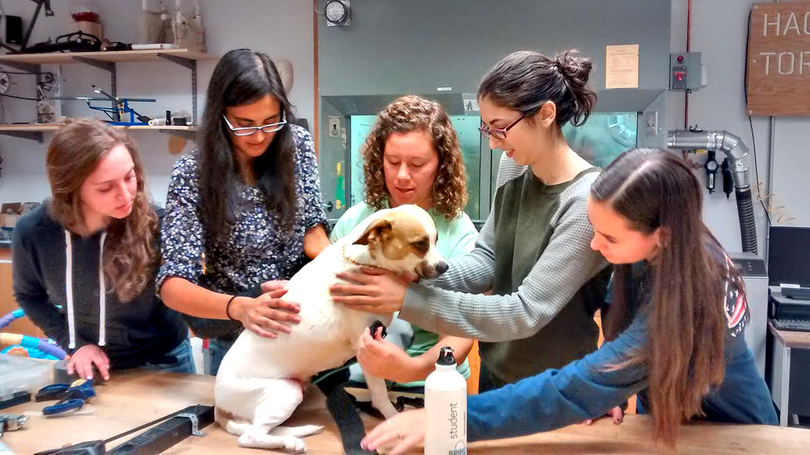 Orthotics and Prosthetics Club at University of Delaware creates new leg for dog