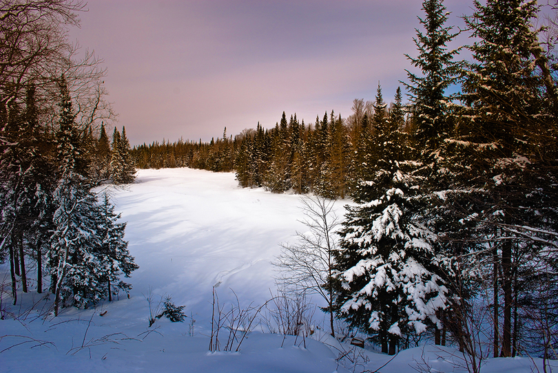 SUNY-ESF and Nature Conservancy partner to ensure forest is ‘climate-resilient’