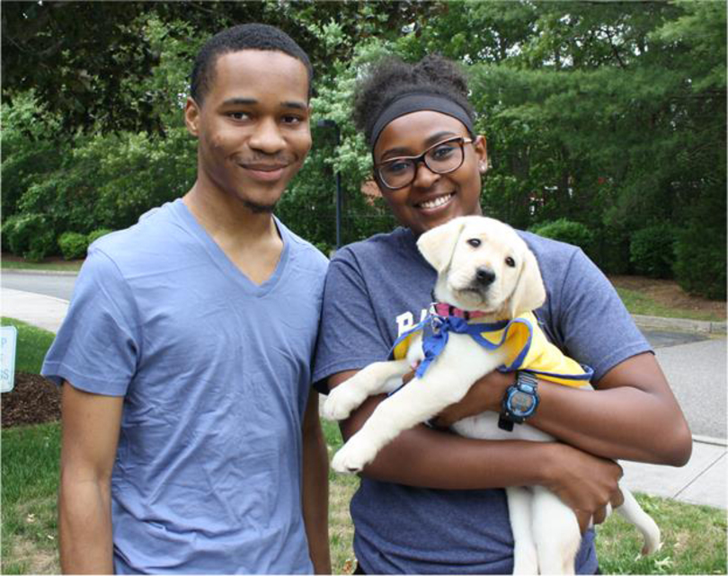 Syracuse University junior raises service puppy Taya on campus