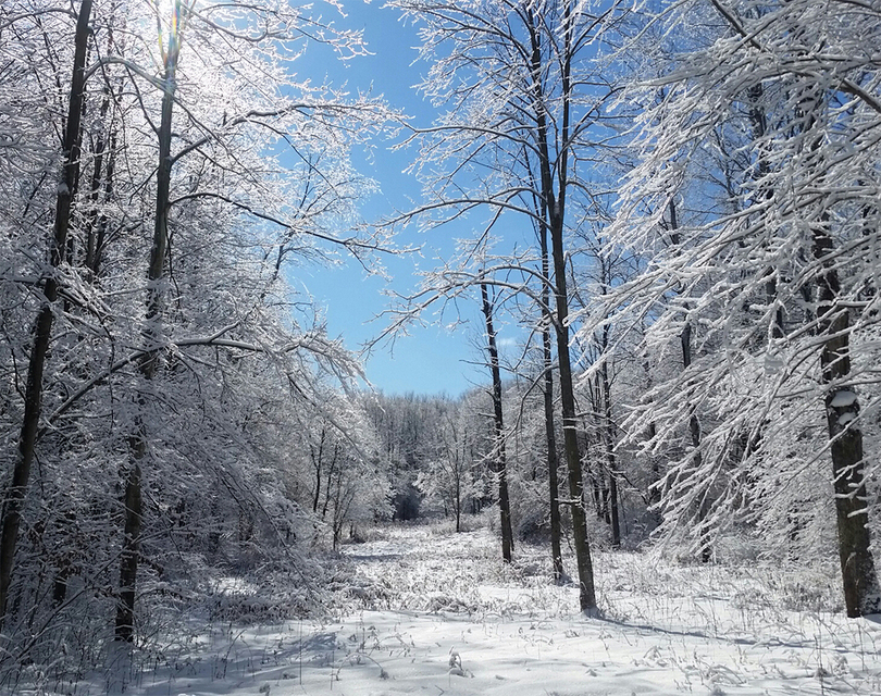 Where to explore the great wintery outdoors in central New York