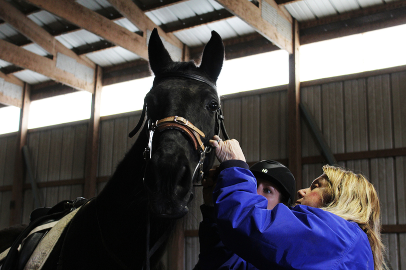 This horse rescue is moving to greener pastures