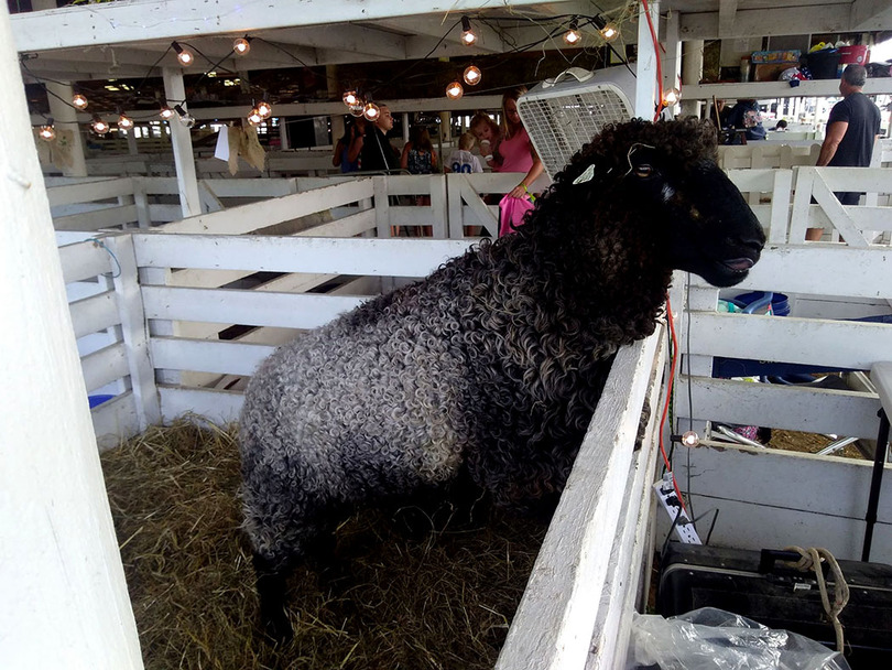 Make time to learn more about local farmers at Great New York State Fair