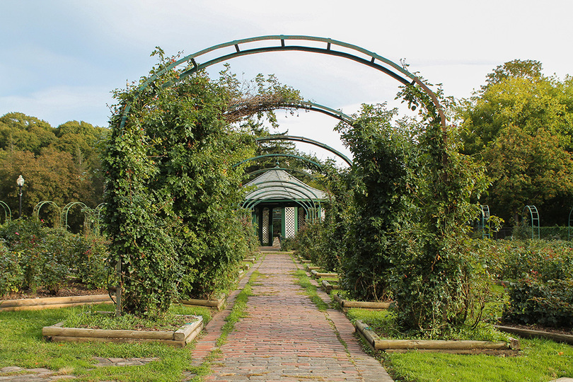 Meet the century-old society behind the upkeep of the rose garden in Thornden Park