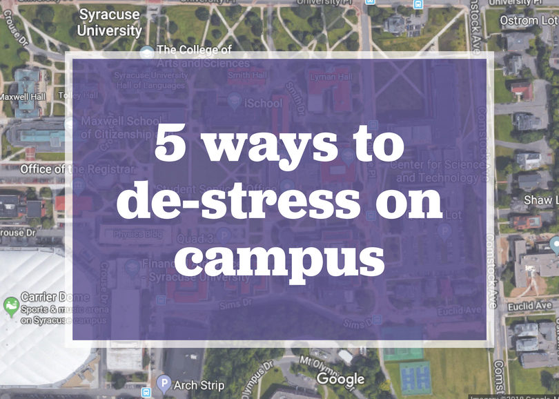 INTERACTIVE: 5 ways to de-stress on campus during finals