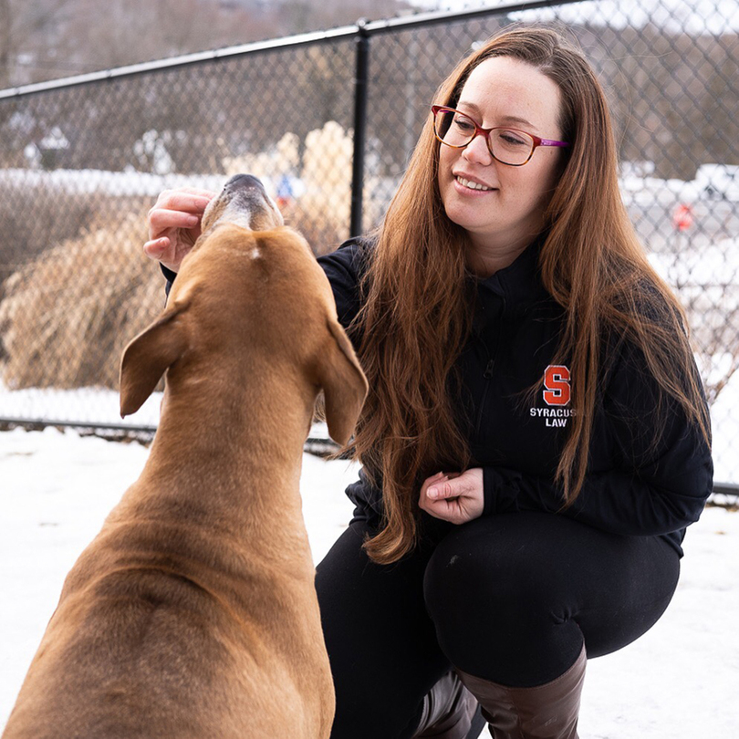 Lawyers work with SU students to help animals in cruelty cases