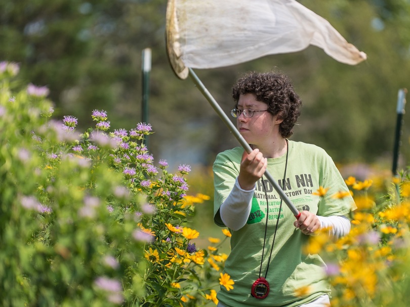 Amid declining bee population, community efforts attempt to save environment