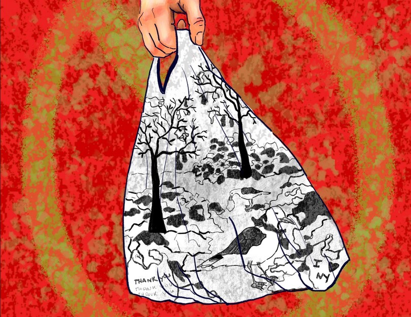 Plastic bag ban has minimal impact