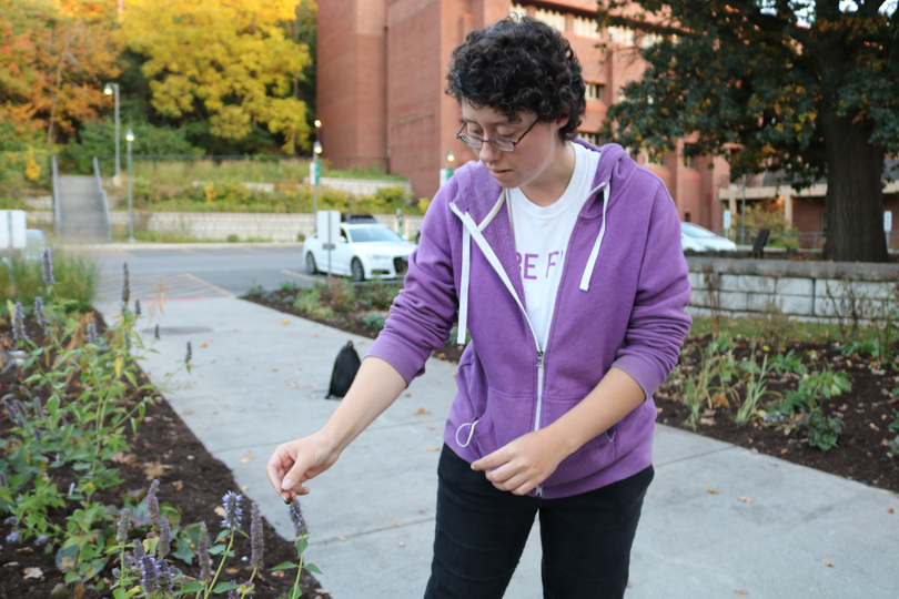 SUNY ESF is on its way to improving its pollinator-friendly environment on campus