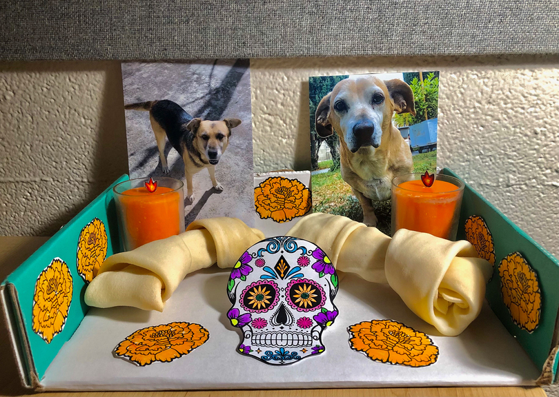 Students share the importance of celebrating dead loved ones for Día de los Muertos