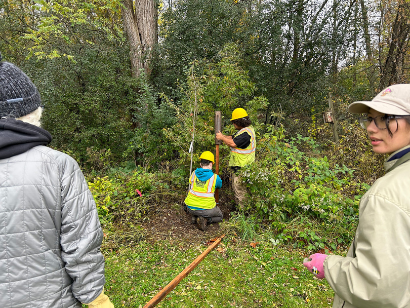 Syracuse Urban Food Forest Project plants 180 trees to expand edible urban landscapes