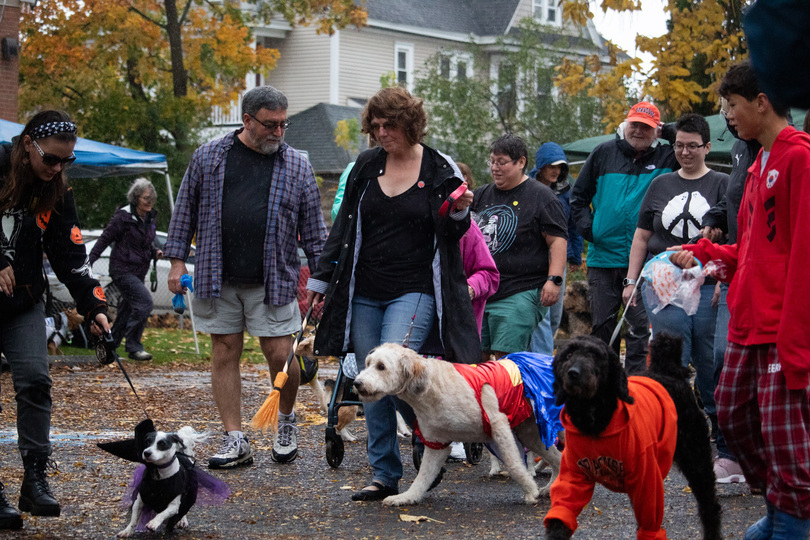 Halloween dog parade helps keep Westcott weird