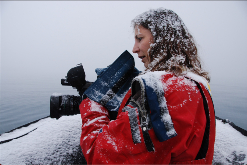 Janet Bigg’s newest exhibit takes viewers on an Arctic expedition